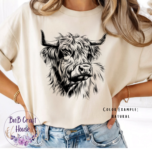 Highland Cow